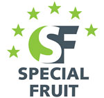 logo-empresa-26x150-1